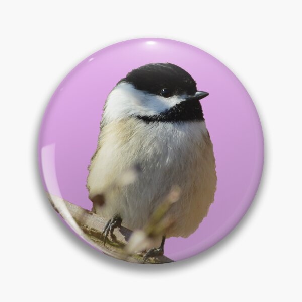 Item preview, Deedee the Chickadee  designed and sold by WWbugsandslugs.