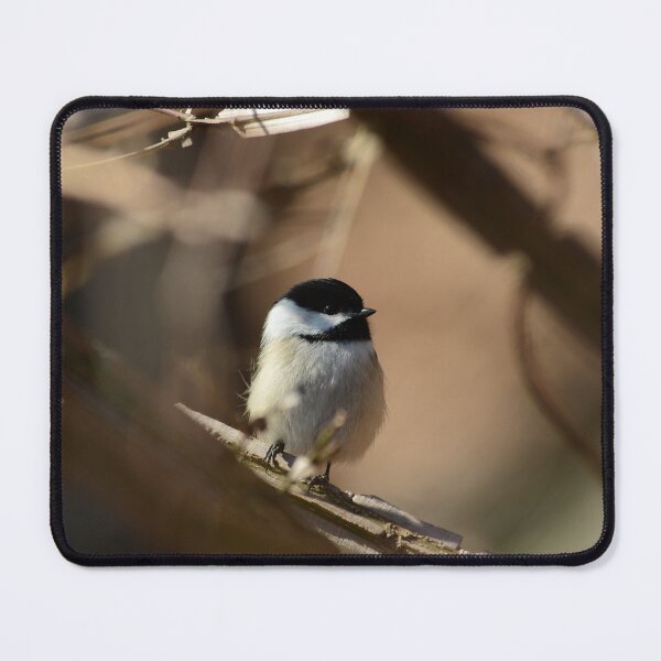 Item preview, Deedee the Chickadee  designed and sold by WWbugsandslugs.