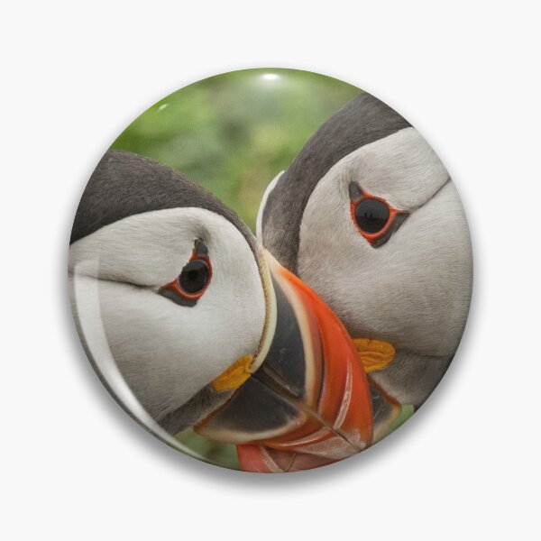 Item preview, Puffin love.  designed and sold by JoHackman.