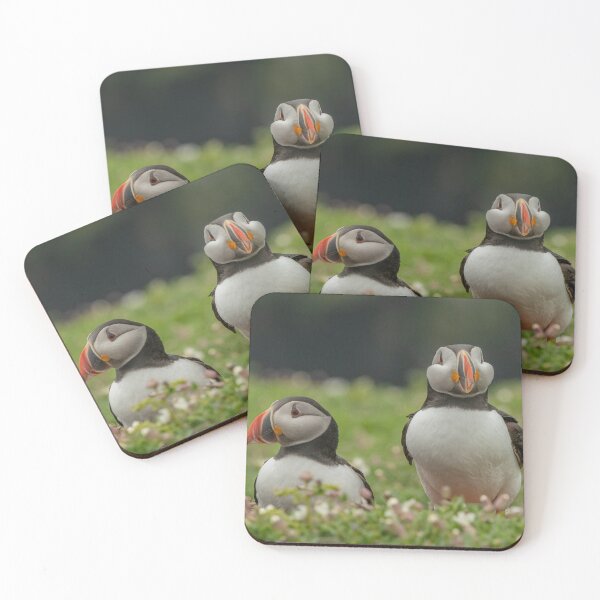 Item preview, Puffin Pair. designed and sold by JoHackman.
