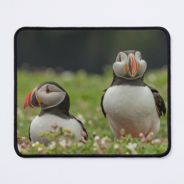 Item preview, Puffin Pair. designed and sold by JoHackman.