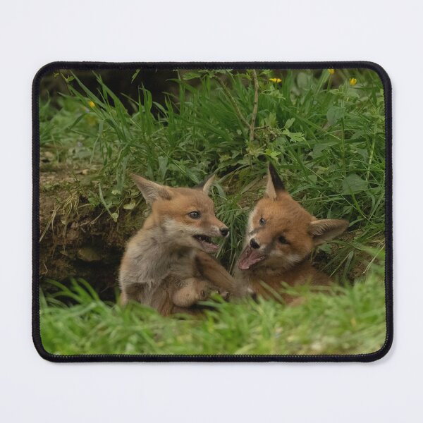 Item preview, Cubs play fighting.  designed and sold by JoHackman.