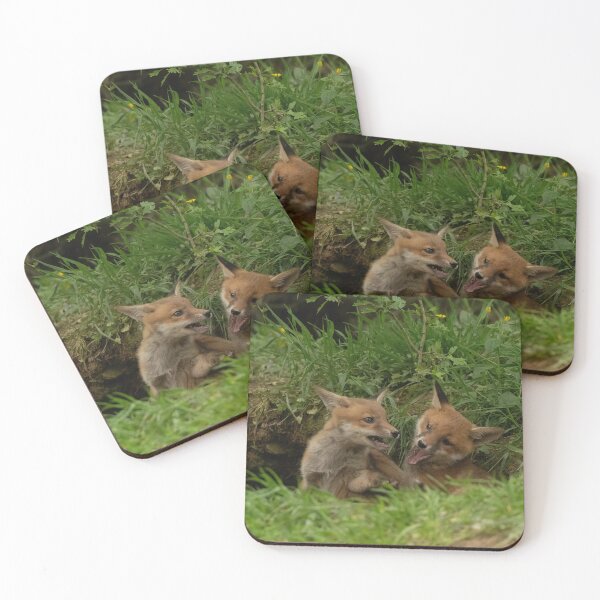Item preview, Cubs play fighting.  designed and sold by JoHackman.
