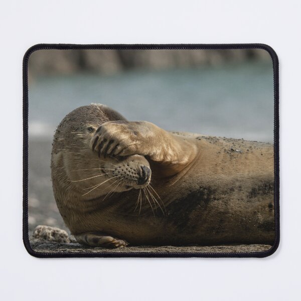Item preview, Seal. designed and sold by JoHackman.