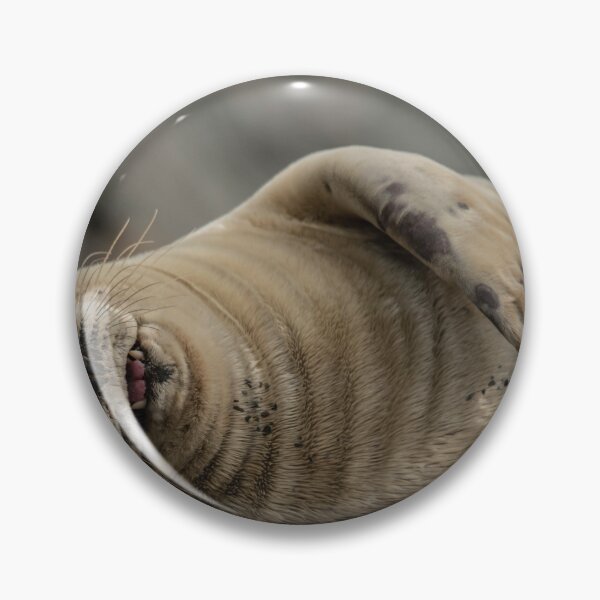 Item preview, Giggling grey seal.  designed and sold by JoHackman.