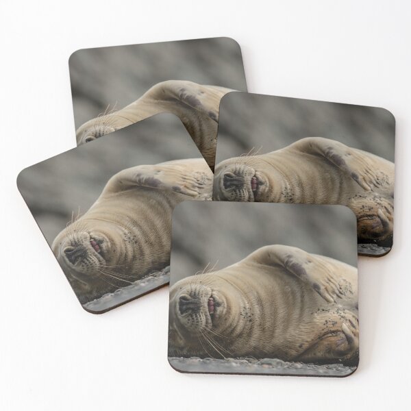 Item preview, Giggling grey seal.  designed and sold by JoHackman.