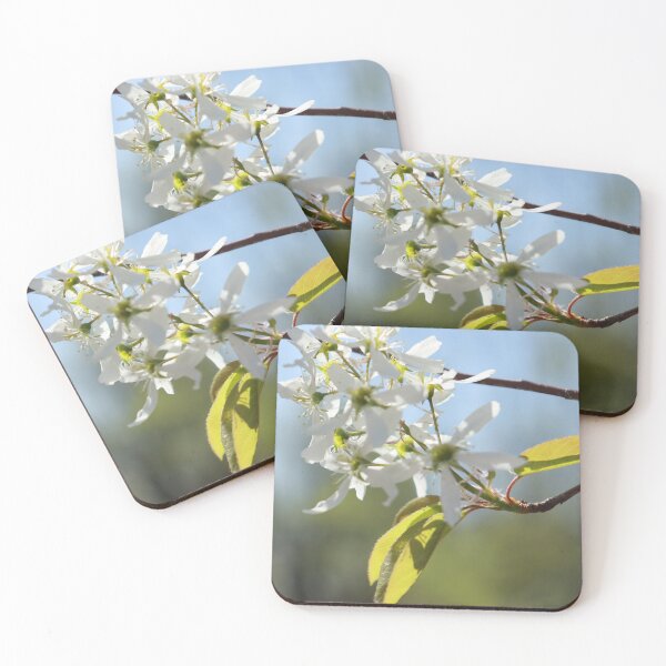 Item preview, bloom designed and sold by Leiatriesart.