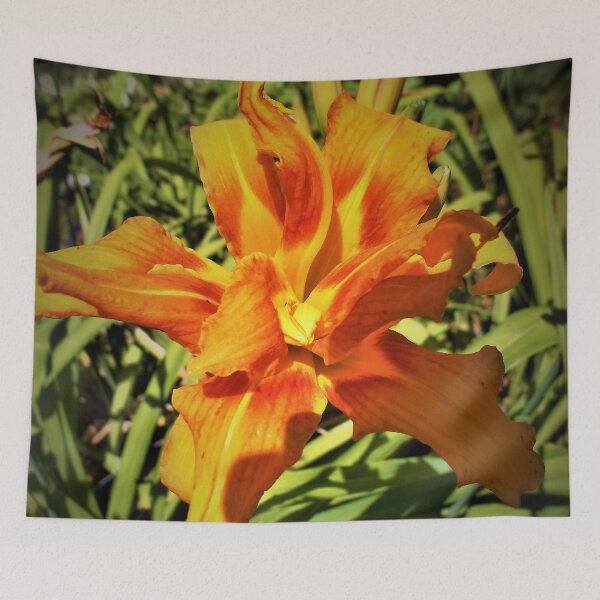 Item preview, Orange Daylily designed and sold by Scott and Mary Schneider art_photography.