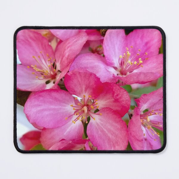 Item preview, Prairifire Crabapple designed and sold by bjtomiko.
