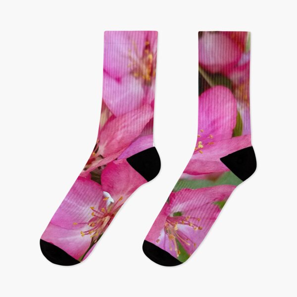 Item preview, Prairifire Crabapple designed and sold by bjtomiko.
