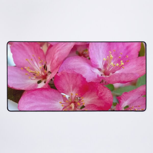 Item preview, Prairifire Crabapple designed and sold by bjtomiko.