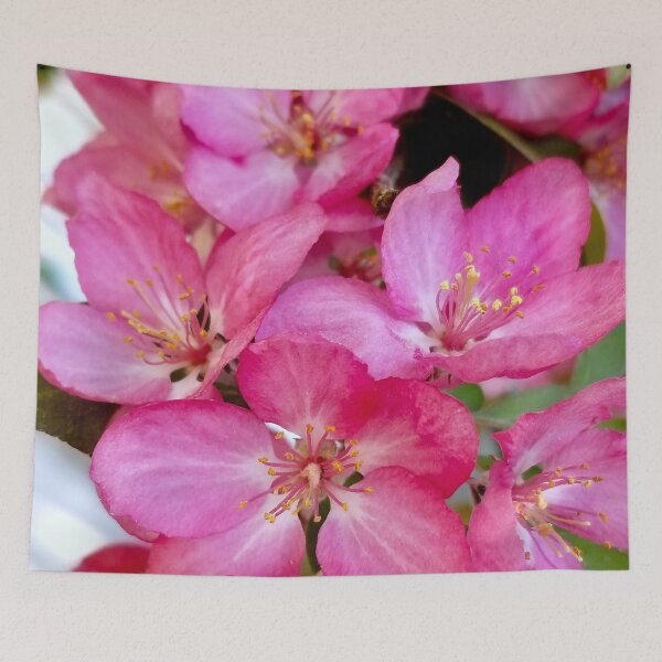 Item preview, Prairifire Crabapple designed and sold by bjtomiko.