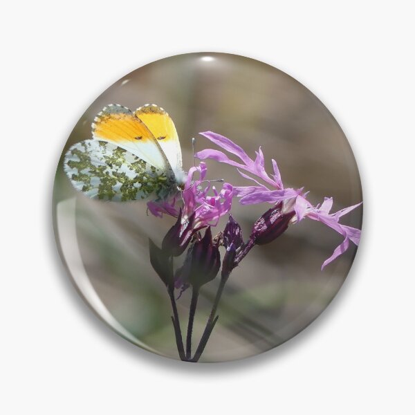 Item preview, Orange Tip on Ragged Robin designed and sold by Merlin13.