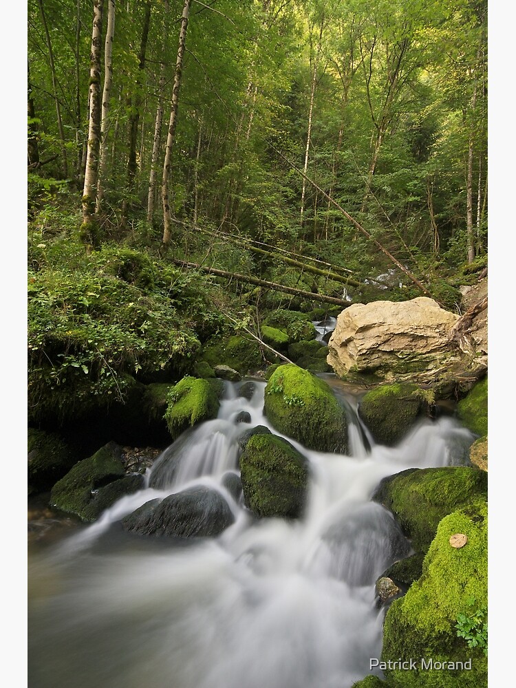 Artwork view, Cascading water in Jura forest designed and sold by Patrick Morand