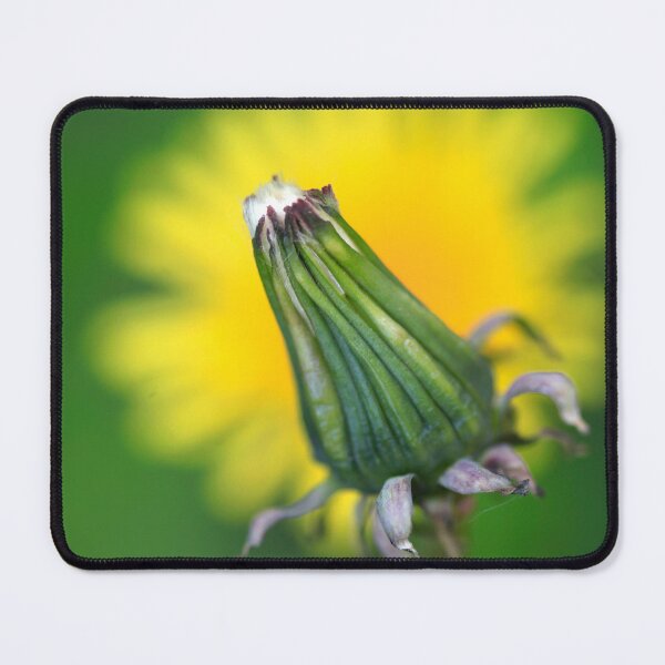 Item preview, Yellow dandelion on green background designed and sold by olena2552.