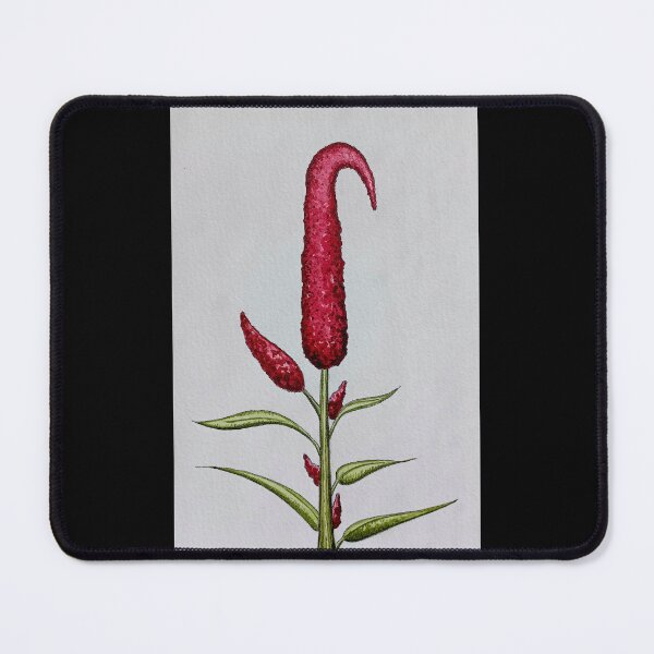 Item preview, Amaranthus cruentus - Huautli - Red amaranth designed and sold by ImitationArt.