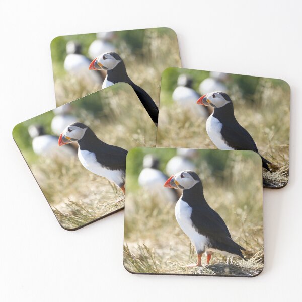 Item preview, Puffin looking out to sea designed and sold by MartinPhotos.