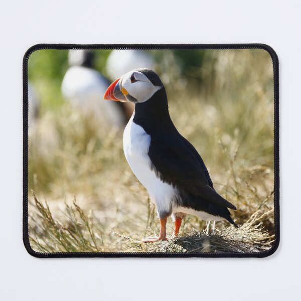Item preview, Puffin looking out to sea designed and sold by MartinPhotos.