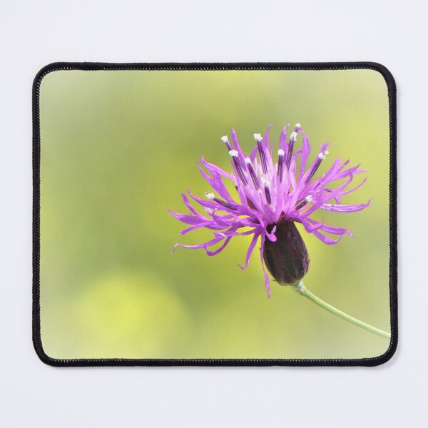 Item preview, Little Thistle and bokeh background designed and sold by Merlin13.