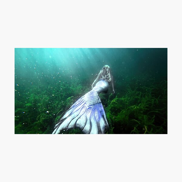 Mermaid Phantom underwater photo (in seaweed) Poster for Sale by