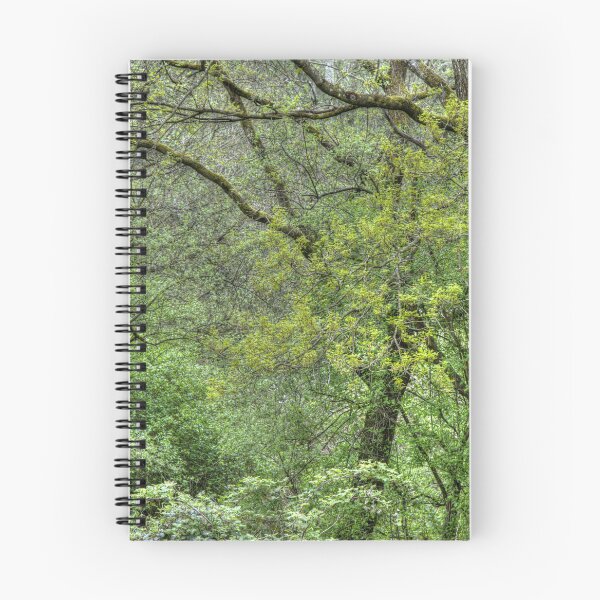 Item preview, WOODLAND designed and sold by MIKESCOTT.