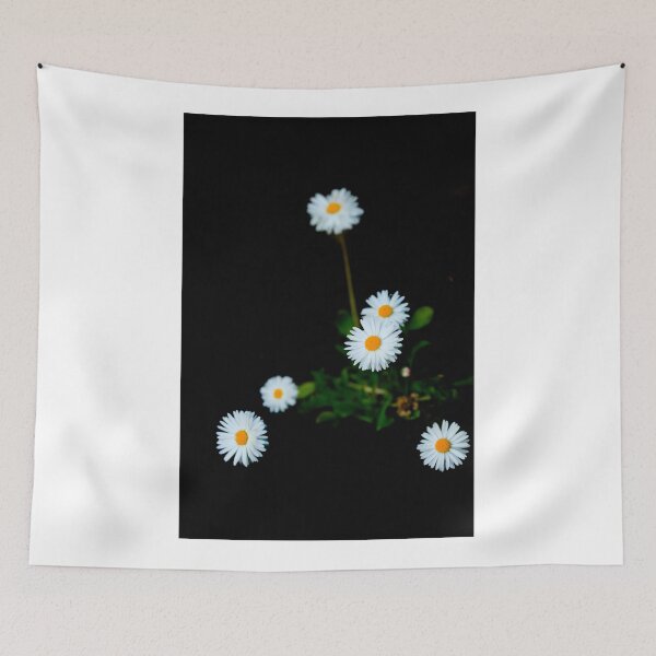 Item preview, White chamomiles on black background designed and sold by olena2552.