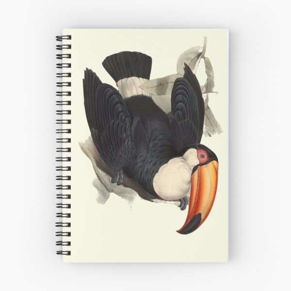 Item preview, Vintage illustration of a Toucan by John Gould from 1834 designed and sold by NathalieRached.