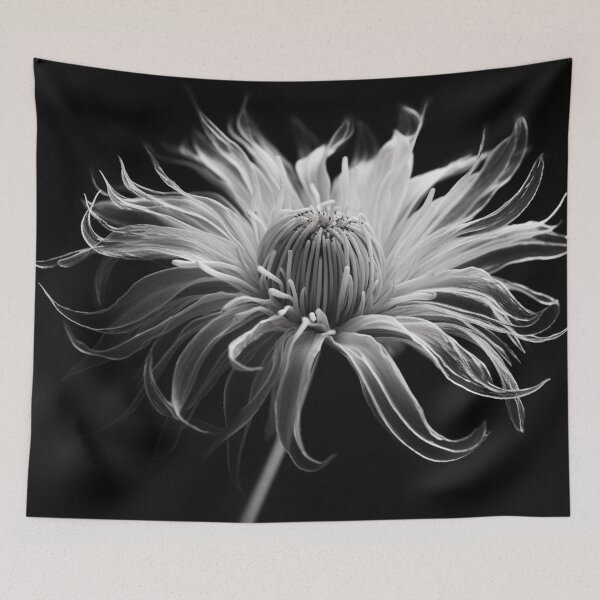 Item preview, Enigmatic Elegance: Monochromatic Chrysanthemum Artwork Inspired by Tomasz Alen Kopera, Ellen Jewett, and Martin Rak Canvas designed and sold by soulfulfaces.