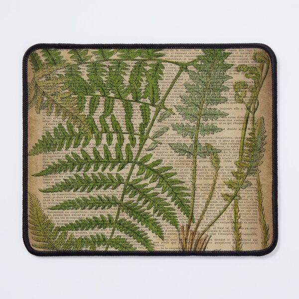 Item preview, vintage foliage hipster botanical print fern leaves designed and sold by LEILA ART SPACE.