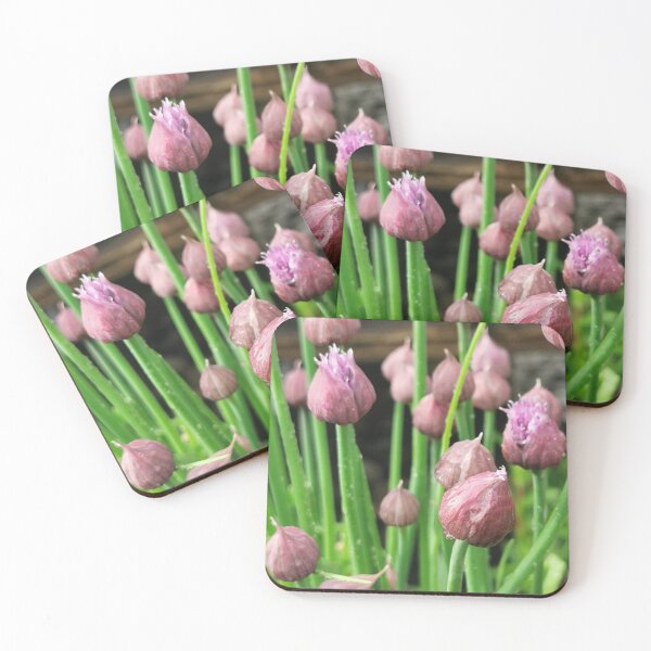 Item preview, Homegrown Chives designed and sold by Rebecca Hattam's shop .