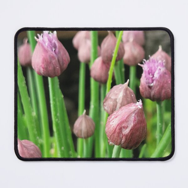 Item preview, Homegrown Chives designed and sold by Rebecca Hattam's shop .