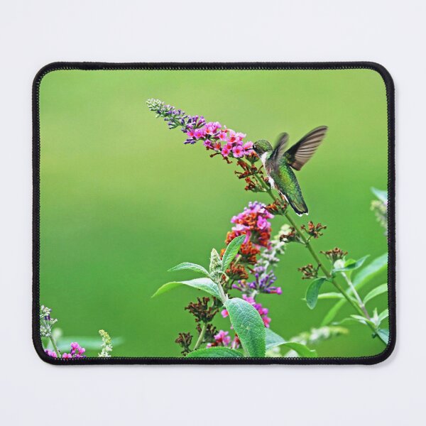 Item preview, Jewel In The Garden designed and sold by Deb Oppermann.