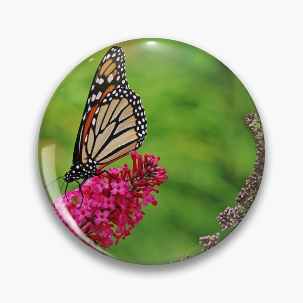 Artikelvorschau, Monarch im Garten entworfen und verkauft von Deb Oppermann.