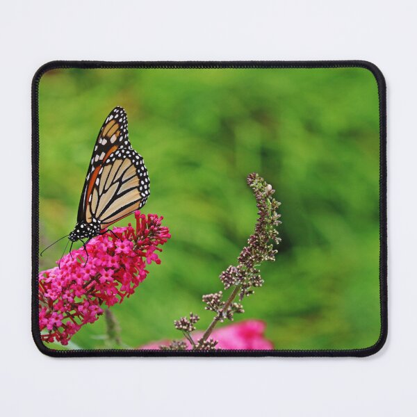 Item preview, Monarch In The Garden designed and sold by Deb Oppermann.
