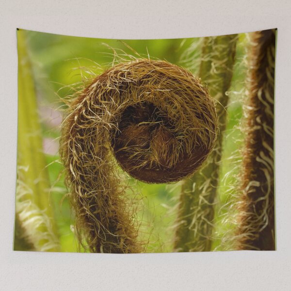 Item preview, Fern 8 (AU) designed and sold by Jacquiamber.