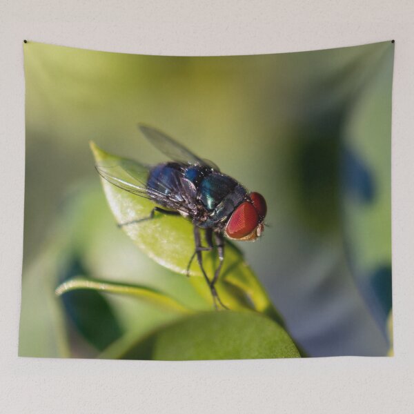 Item preview, Blue Bottle Fly designed and sold by Jacquiamber.