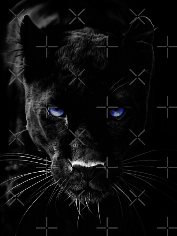 80*86*92*98*104*110 Gr Pullover Langarm-Shirt: Black Panther Panter Raubkatze 