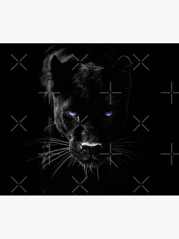 BLACK PANTHER by Paparaw