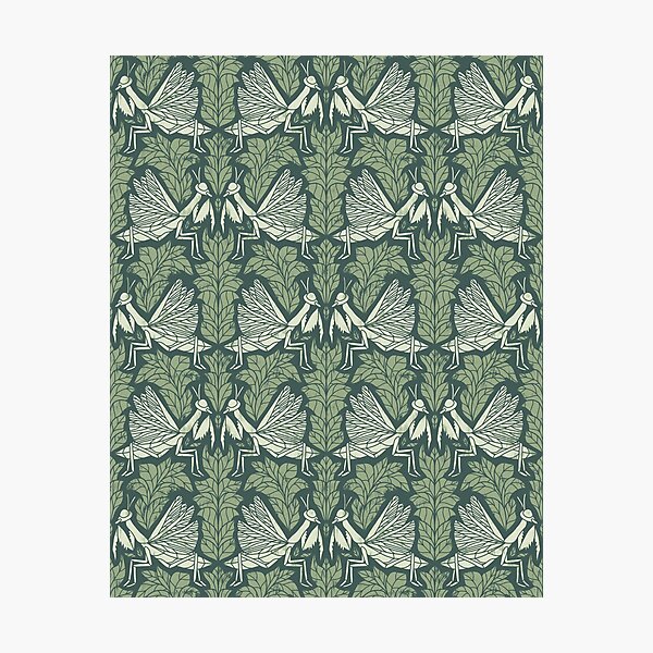 Eat, Prey, Love Praying Mantis Pattern Photographic Print