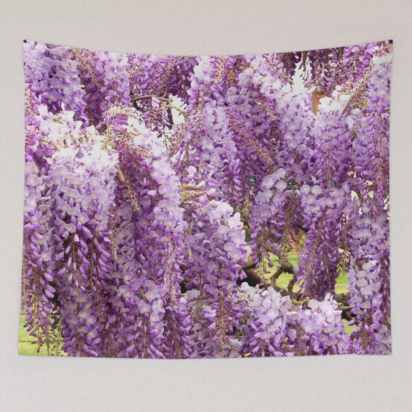 Item preview, Wisteria on the facades of houses in the Gers in France designed and sold by franck380.