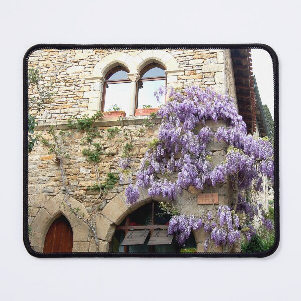 Artikelvorschau, Wisteria on the facades of houses in the Gers in France entworfen und verkauft von franck380.