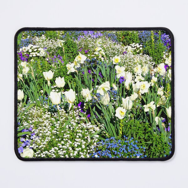 Item preview, Flower fields in the South West of France designed and sold by franck380.