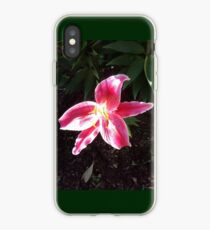 Stargazer Lilly iPhone Case
