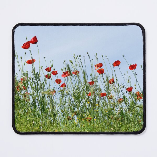 Item preview, Breezy Hilltop - Early Summer Poppy Blooms designed and sold by Georgia Mizuleva.
