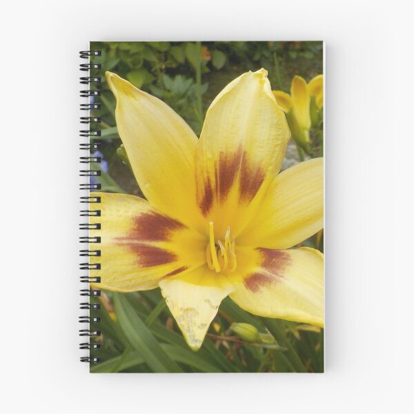 Item preview, Yellow Day Lily In A French Garden designed and sold by lezvee.