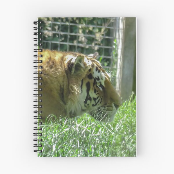 Item preview, A Tiger Glowing In The Sun. designed and sold by Scarlett Miller.