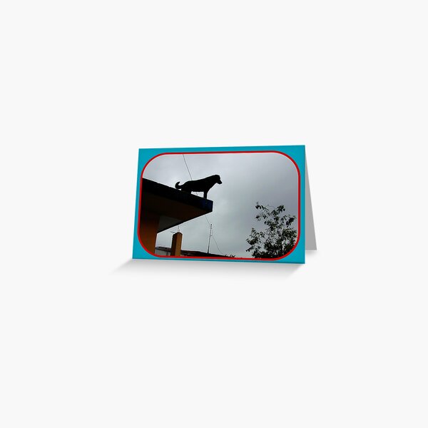 Dog on a Roof Greeting Card