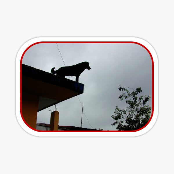 Dog on a Roof Sticker