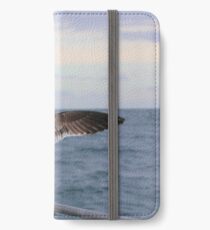 Looking To The Horizon iPhone Wallet/Case/Skin
