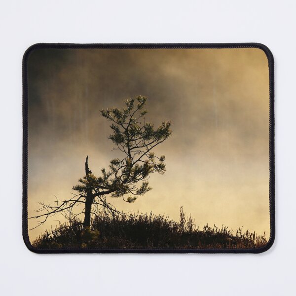 Item preview, 13.5.2023: Pine Tree in Morning Mist designed and sold by Petri Volanen.
